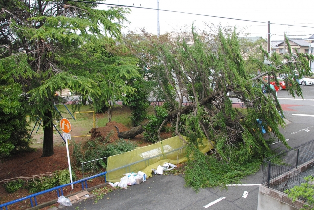 台風21号　金沢で観測史上最大の瞬間風速を記録